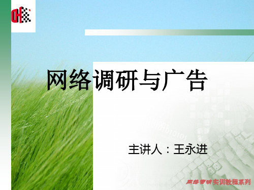 【广告策划-PPT】网络广告基本理论PPT