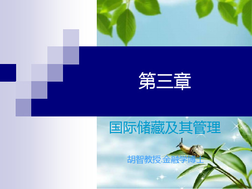 国际储备及其管理(12)幻灯片PPT
