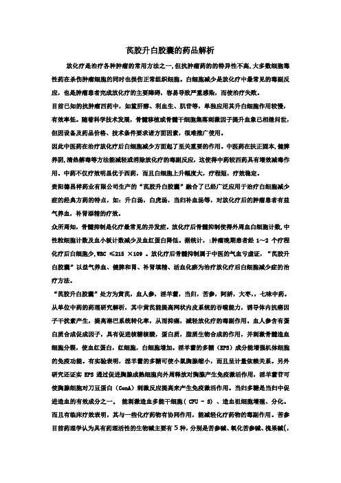 芪胶升白胶囊的药品解析