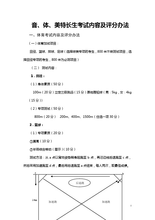 音、体、美特长生考试内容及评分办法