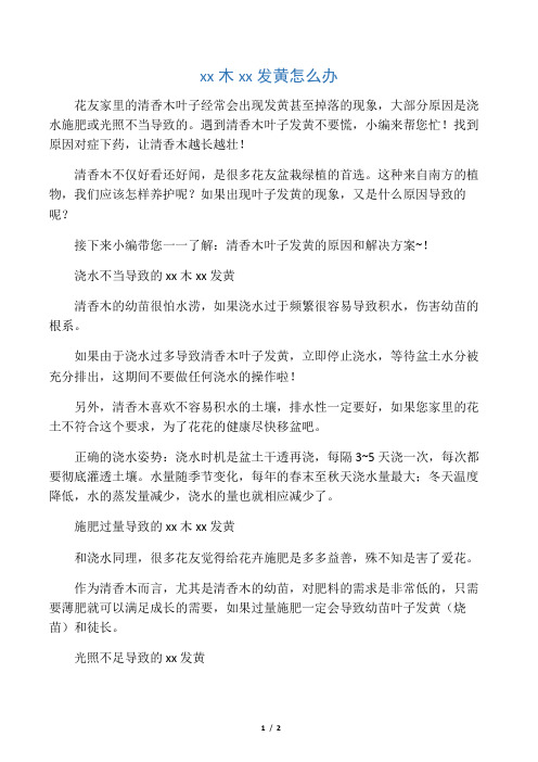 清香木叶子发黄怎么办