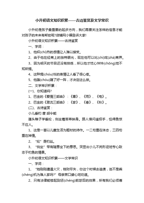 小升初语文知识积累——古诗鉴赏及文学常识