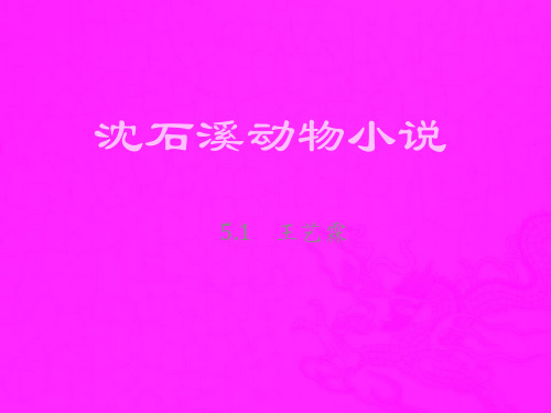 沈石溪动物小说