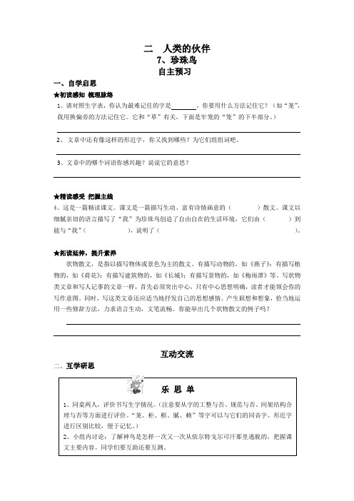 沈阳市实验学校臧宇珍珠鸟