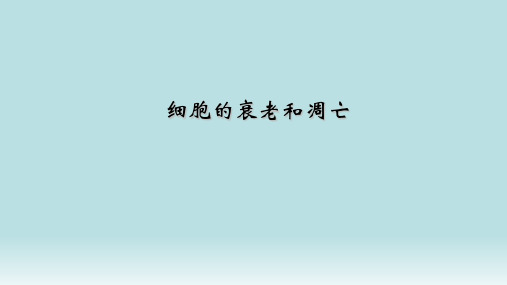高中生物 细胞的衰老和凋亡