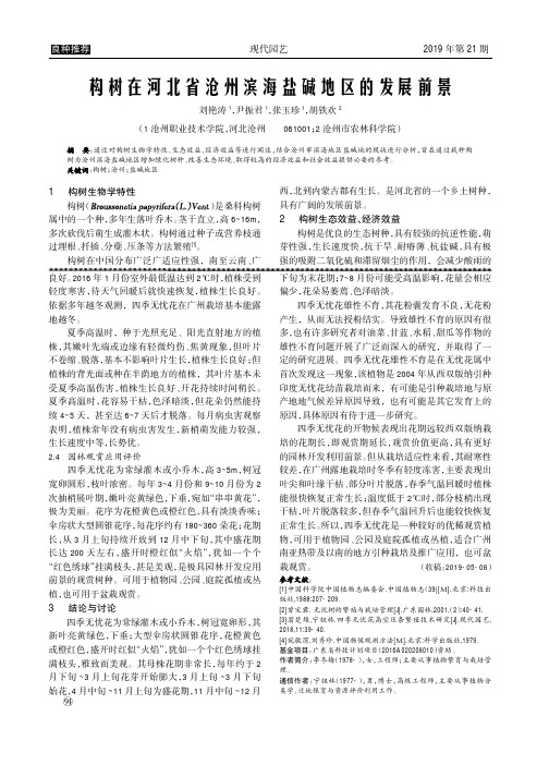 构树在河北省沧州滨海盐碱地区的发展前景