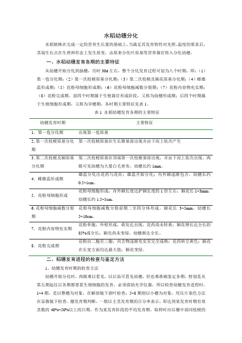 水稻幼穗分化