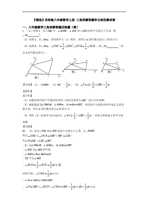 【精选】苏科版八年级数学上册 三角形解答题单元培优测试卷