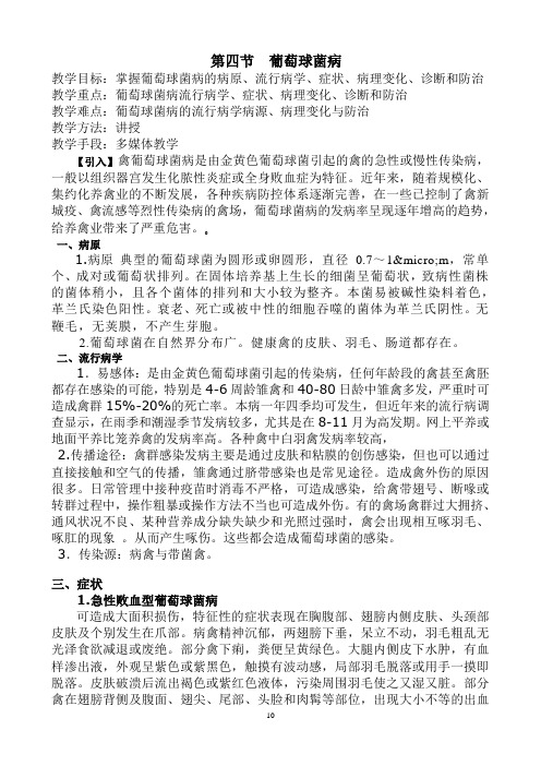 第四节 葡萄球菌病