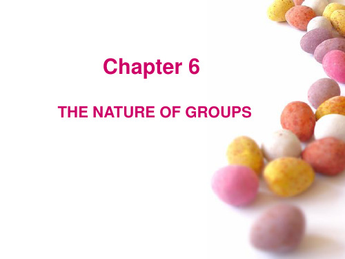 管理学专业英语chapter6 THE NATURE OF GROUPS