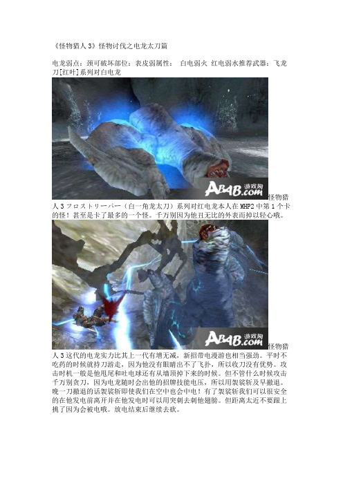 《怪物猎人3》怪物讨伐之电龙太刀篇