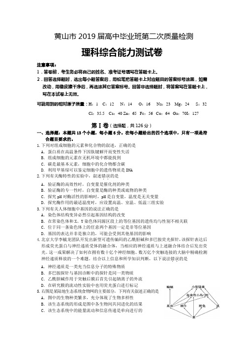 安徽省黄山市2019届高三第二次质量检测理科综合试卷Word版含答案