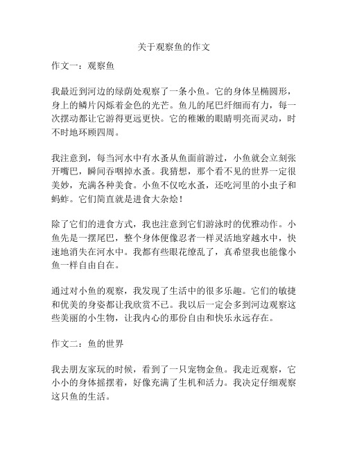 关于观察鱼的作文