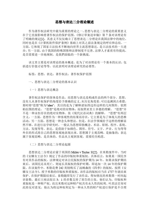 思想与表达二分理论概述