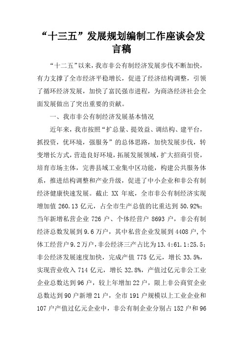 “十三五”发展规划编制工作座谈会发言稿