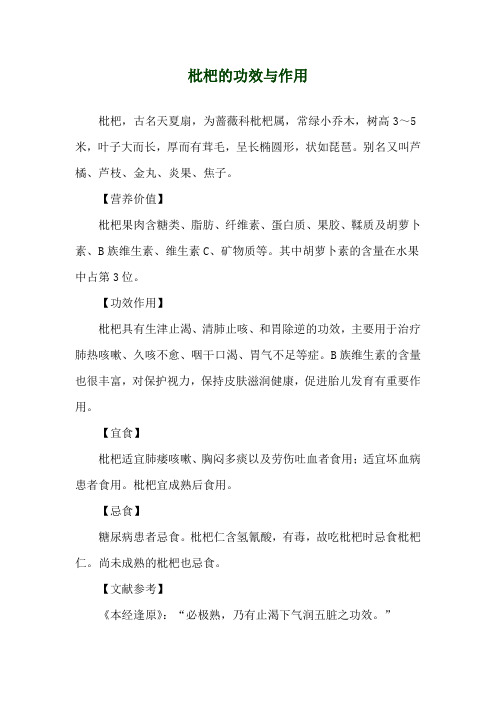 枇杷的功效与作用