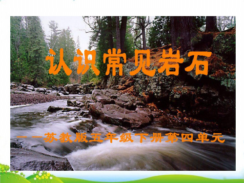 【苏教版】科学课件《认识常见岩石》PPT-课件详解1