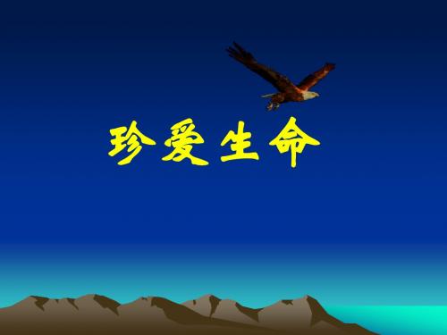 苏教版  珍爱生命PPT课件2