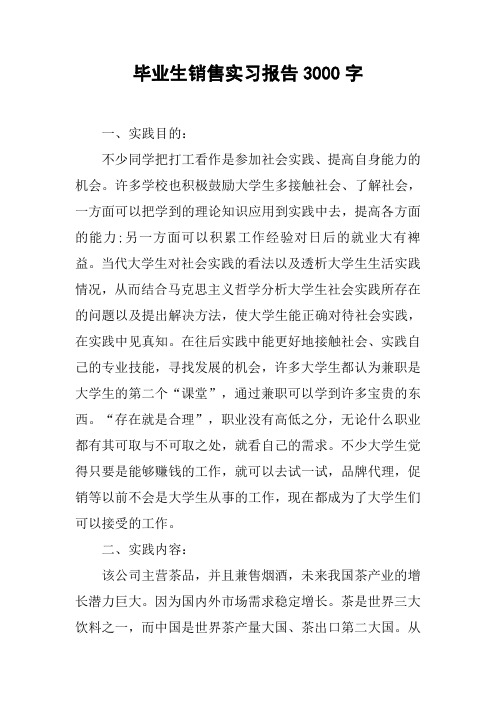 毕业生销售实习报告3000字