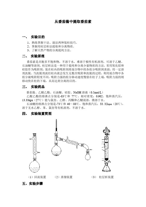 从番茄酱中提取番茄素