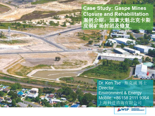 加拿大铜矿场封闭及修复_WSP