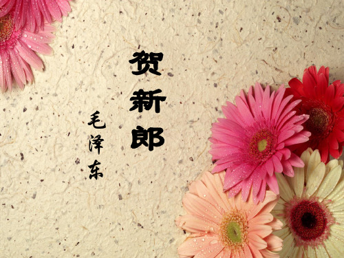 《贺新郎》ppt课件