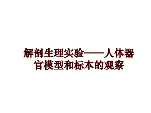 最新解剖生理实验——人体器官模型和标本的观察ppt课件
