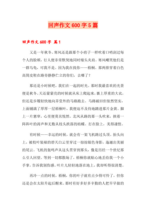 回声作文600字5篇