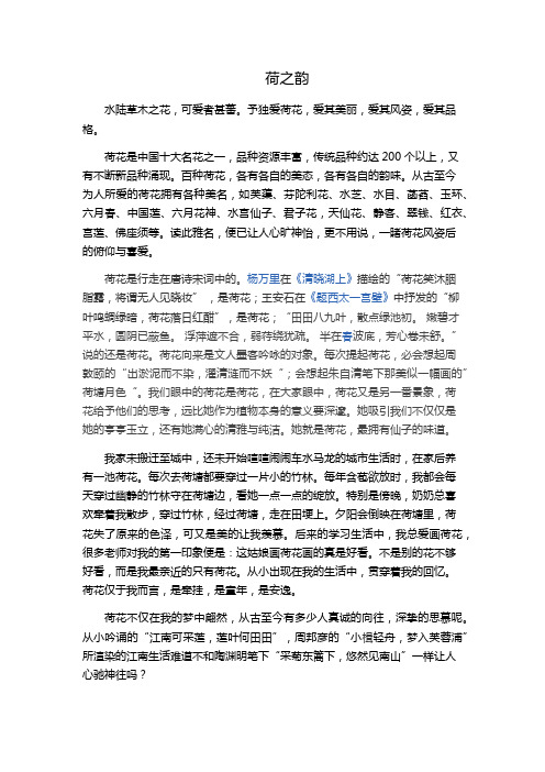 荷之韵