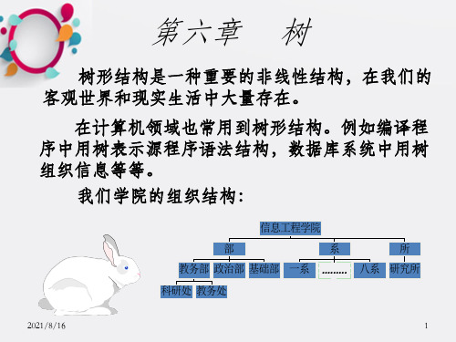 云大《数据结构》课程教学课件-第6章 树和二叉树(147P)_OK