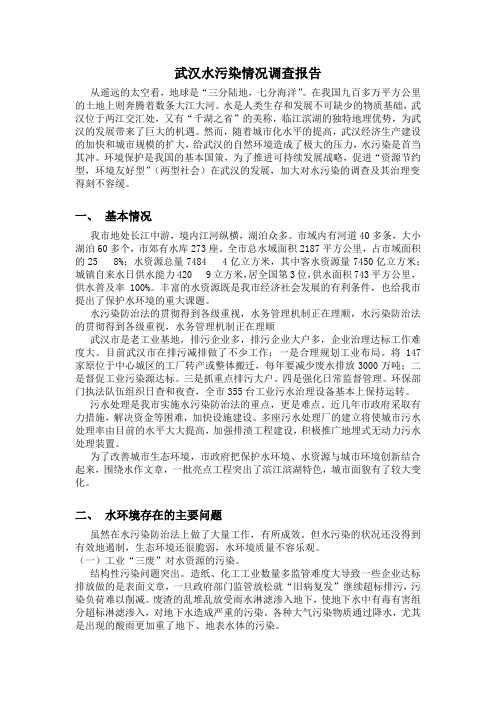 武汉水污染调查情况表