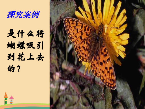七年级科学花中有奥秘PPT优秀课件