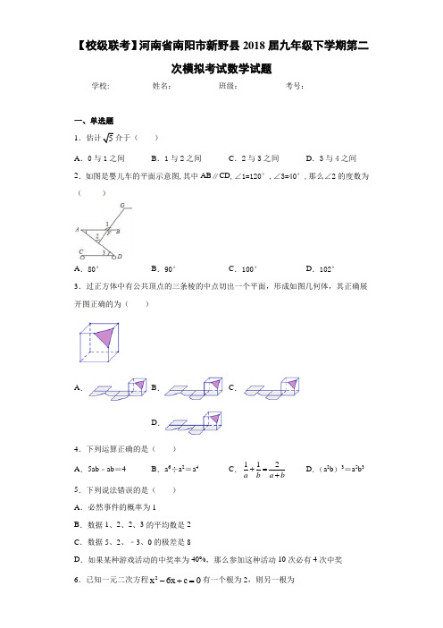 【校级联考】河南省南阳市新野县2021届九年级下学期第二次模拟考试数学试题