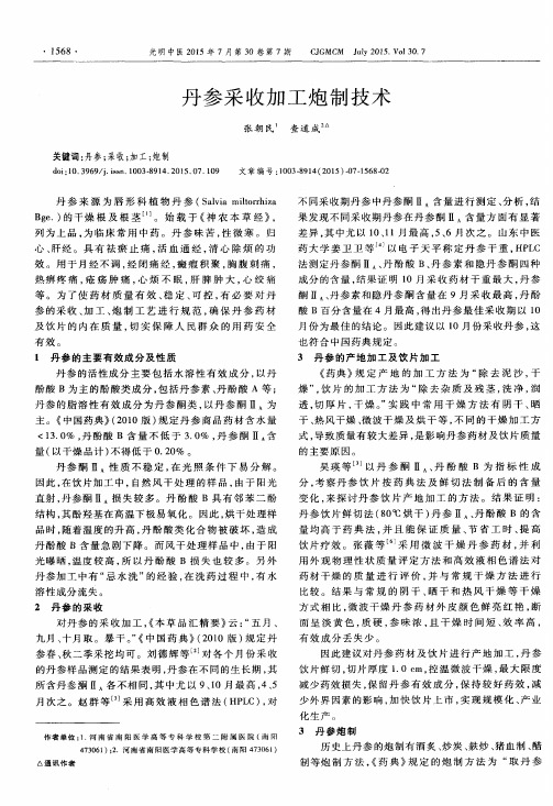 丹参采收加工炮制技术