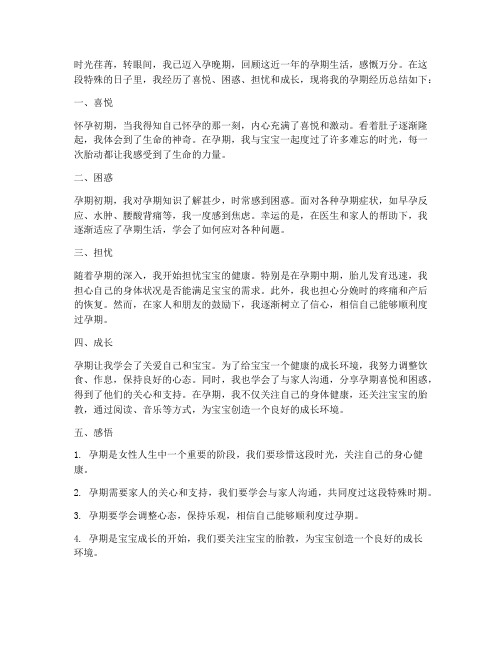 怀孕个人总结范文一