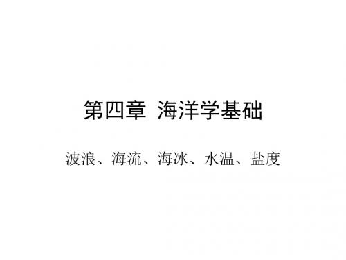海浪、海流和海冰-PPT资料