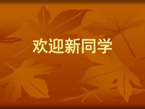 培养审美的眼睛页PPT文档