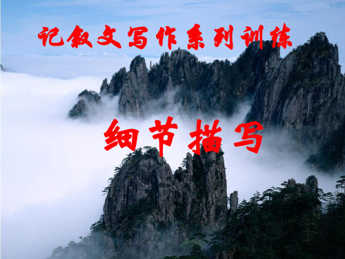 记叙文写作系列训练——细节描写