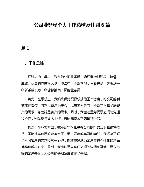 公司业务员个人工作总结及计划6篇