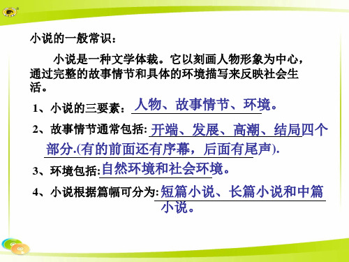 《变色龙》PPT课件 部编版·统编教材人教版九年级 语文  下册