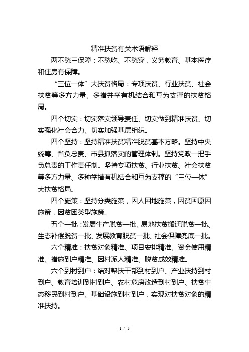 精准扶贫有关术语解释
