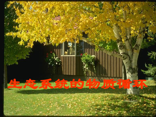 5.3生态系统的物质循环