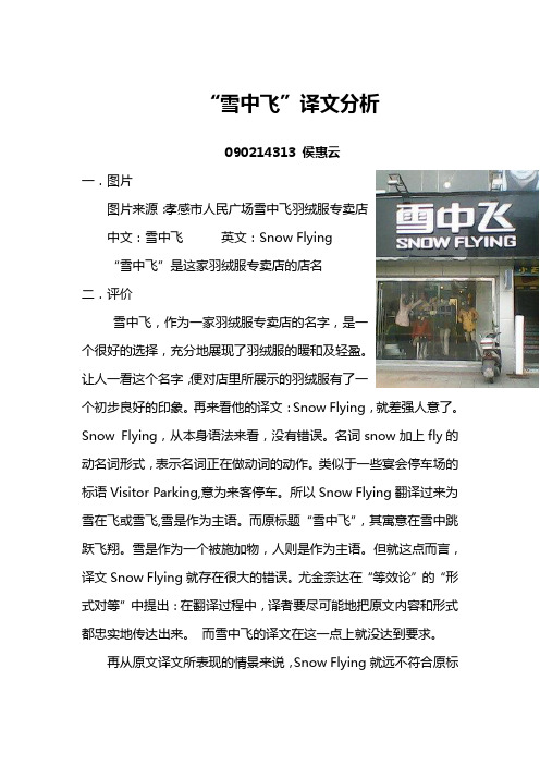 雪中飞