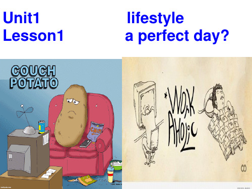 高中英语必修一unit 1. lesson 1 lifestyle
