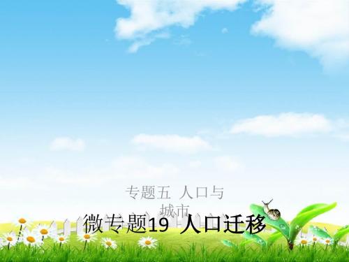 2019高考地理浙江选考新增分二轮课件：专题五人口与城市微专题19