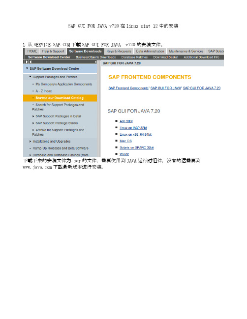 SAP GUI FOR JAVA 在linux mint中安装