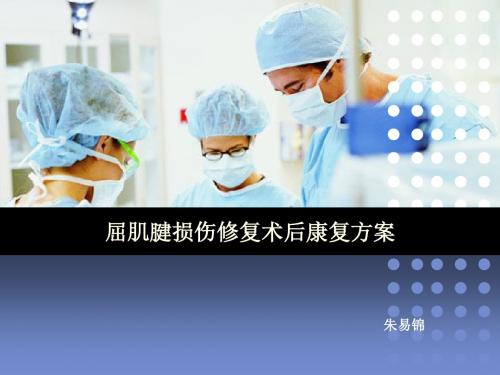 屈肌腱损伤的康复治疗ppt课件