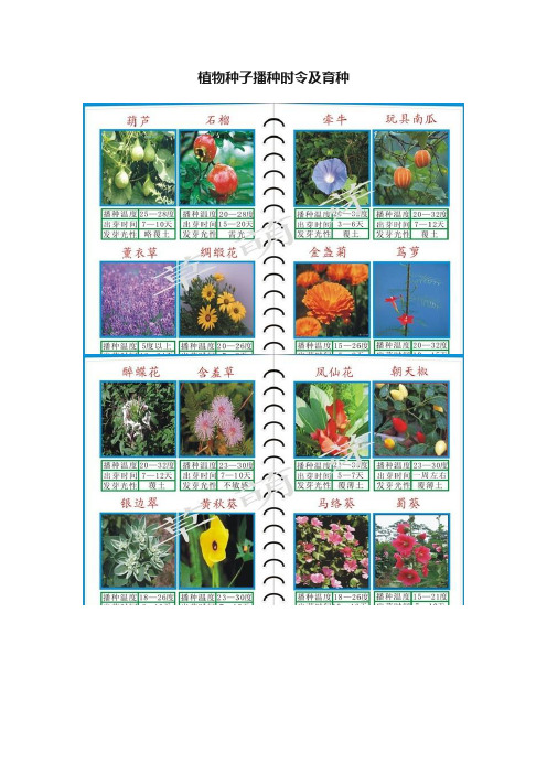 植物种子播种时令及育种
