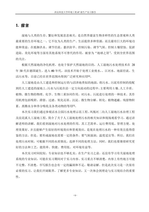 人工湿地报告
