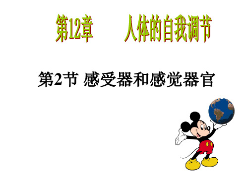 北师大版七年级下册生物课件  12.2 感受器与感觉器官(共45张PPT)